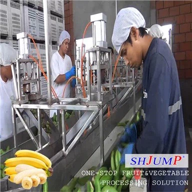 Линия по производству бананового пюре