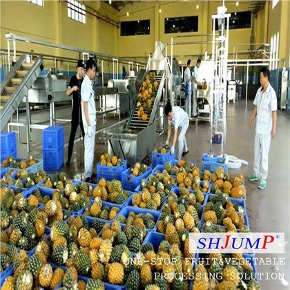 Линия по производству ананасового сока