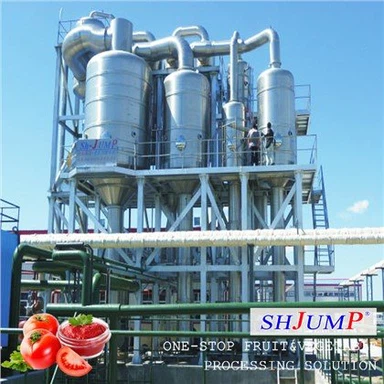 Линия по производству томатной пасты