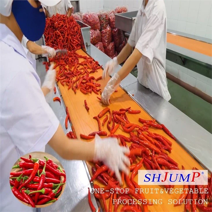 Chili Processing Line
