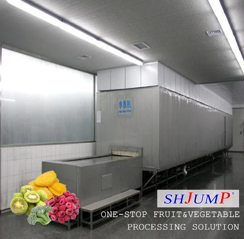 Линия по производству быстрозамороженных фруктов