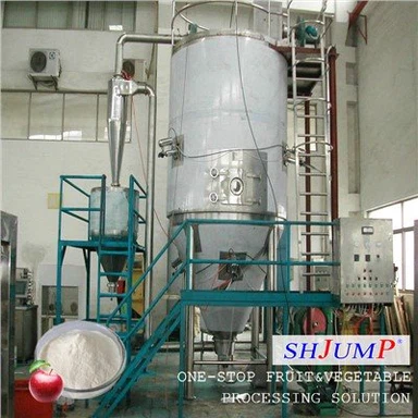 Линия по производству яблочного порошка