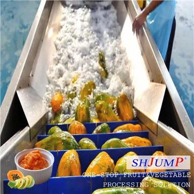 Линия по производству пюре из папайи